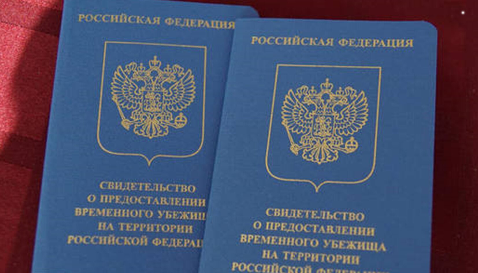 Какие нужны бумаги, для получения разрешения в России?